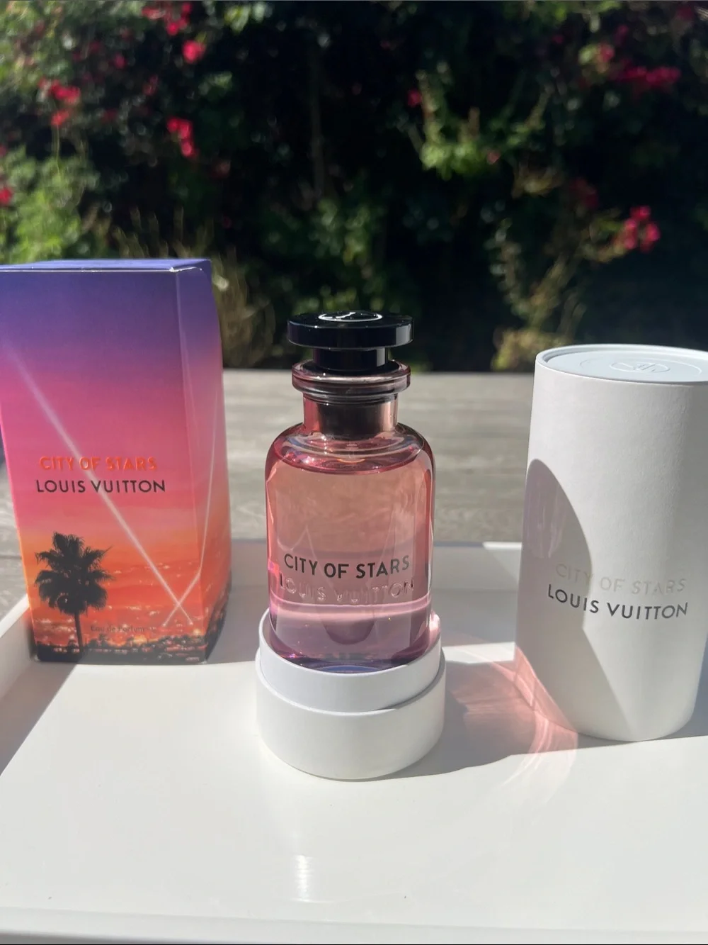 Louis Vuitton brought this